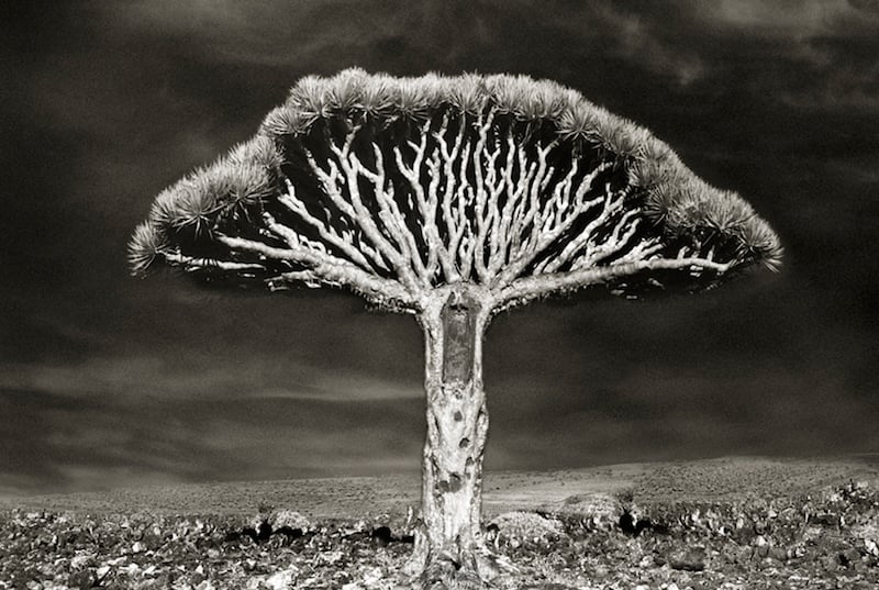 Beth Moon - Between Earth and Sky